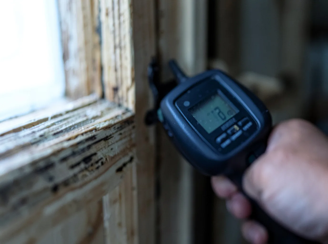 Moisture Inspection And Documentation in Madison, TN